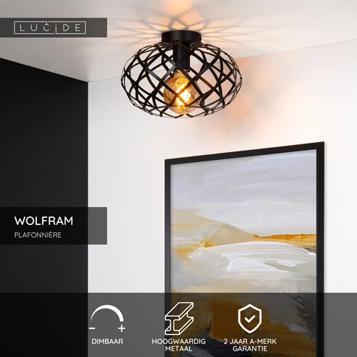 Lucide WOLFRAM - Plafonnière - Ø 30 cm - 1xE27 - Zwart - USP
